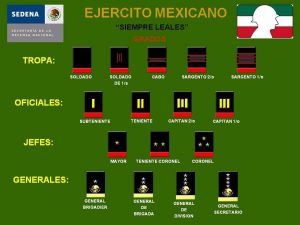 Insignias Ejército Mexicano