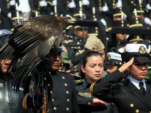EL VERDADERO SENTIMIENTO PATRIO