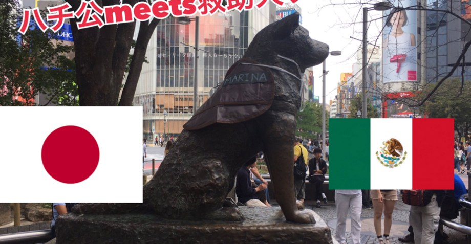 Frida llega a Japón en homenaje con Hachiko