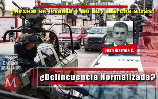 ¿Delincuencia Normalizada? Ejército