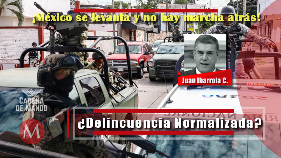 ¿Delincuencia Normalizada? Ejército