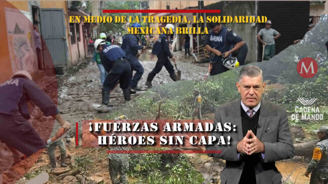 Fuerzas Armadas de México en emergencias