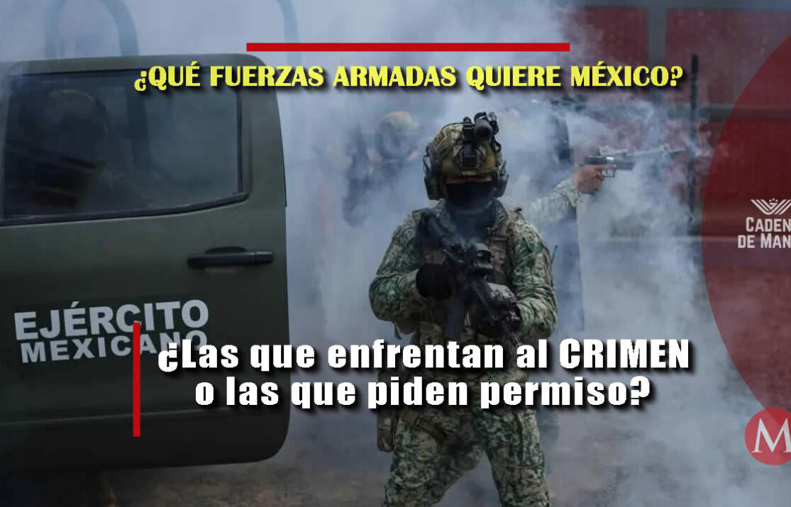 Qué tipo de fuerzas armadas quiere México